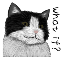 real cats(Eng ver.) sticker #2715575