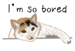 real cats(Eng ver.) sticker #2715578