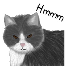 real cats(Eng ver.) sticker #2715579