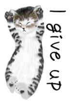 real cats(Eng ver.) sticker #2715584
