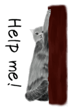 real cats(Eng ver.) sticker #2715588