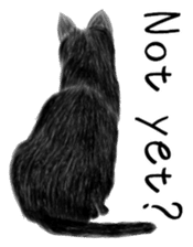 real cats(Eng ver.) sticker #2715590