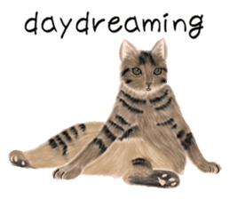 real cats(Eng ver.) sticker #2715591