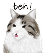 real cats(Eng ver.) sticker #2715592