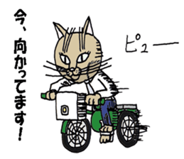 "A cat is abusive". Sticker sticker #2717052