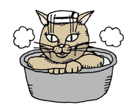 "A cat is abusive". Sticker sticker #2717055