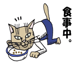 "A cat is abusive". Sticker sticker #2717064