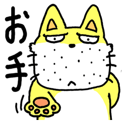 The dog of my home is really stupid.