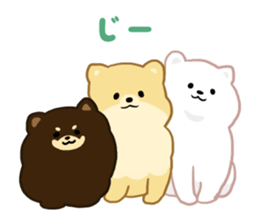 pomeranian! sticker #2719107