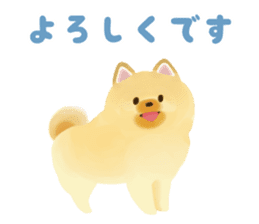 pomeranian! sticker #2719112