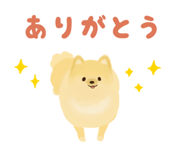 pomeranian! sticker #2719113
