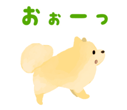 pomeranian! sticker #2719114