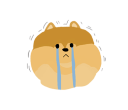 pomeranian! sticker #2719119