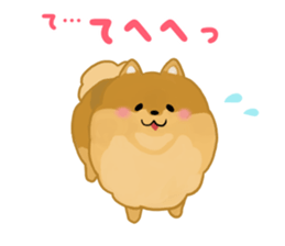 pomeranian! sticker #2719120