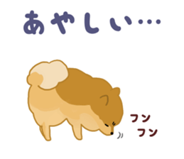 pomeranian! sticker #2719121