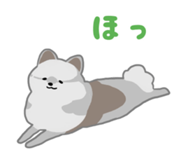 pomeranian! sticker #2719125