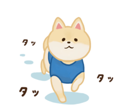 pomeranian! sticker #2719128