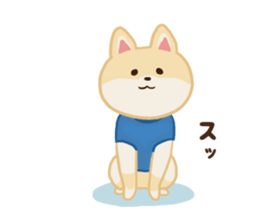 pomeranian! sticker #2719129