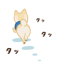 pomeranian! sticker #2719130