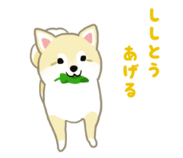 pomeranian! sticker #2719137