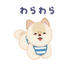 pomeranian! sticker #2719140