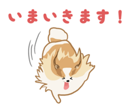 pomeranian! sticker #2719142