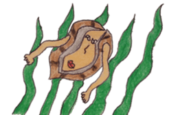 abalone sticker sticker #2722964