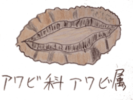 abalone sticker sticker #2722967