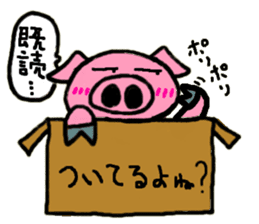 PigBox sticker #2723351
