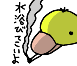 king chick sticker #2723514