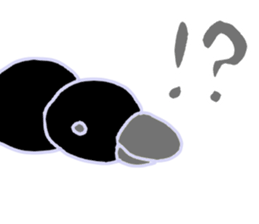 king chick sticker #2723529