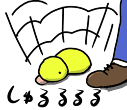 king chick sticker #2723542