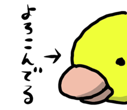 king chick sticker #2723544