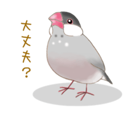 Little Bird. sticker #2723988