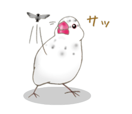 Little Bird. sticker #2723993