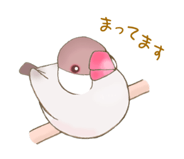 Little Bird. sticker #2723998