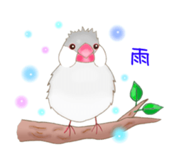 Little Bird. sticker #2724000