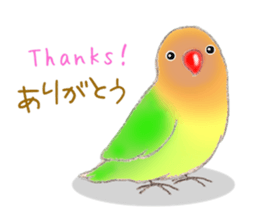 Little Bird. sticker #2724006