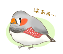 Little Bird. sticker #2724008