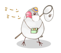 Little Bird. sticker #2724011