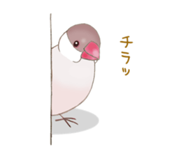 Little Bird. sticker #2724014