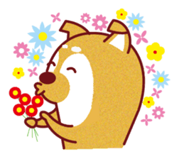 Shiba inu-Japanese dog! sticker #2724896