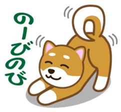 Taro Shiba Inu sticker #2725228