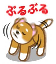Taro Shiba Inu sticker #2725229