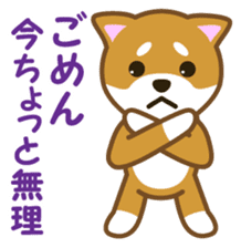 Taro Shiba Inu sticker #2725232