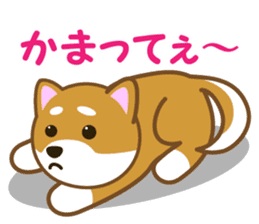Taro Shiba Inu sticker #2725236