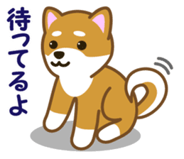 Taro Shiba Inu sticker #2725237