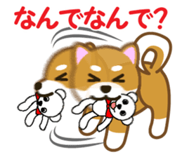 Taro Shiba Inu sticker #2725239