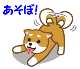Taro Shiba Inu sticker #2725240
