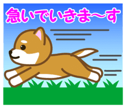 Taro Shiba Inu sticker #2725241